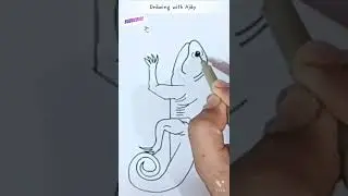 Iguana sketch for kids