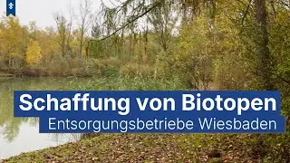 🌳 ELW - Wir schaffen Biotope / Landeshauptstadt Wiesbaden