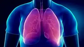 Breathe Fresh Air With SafeAir