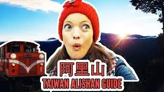 外國人去阿里山森林鐵路 | 老式火車，可怕的蜘蛛，糟糕的饒舌 ALISHAN TRAVEL GUIDE | What to do in Chiayi Taiwan