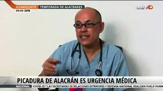 Picadura de alacranes es de urgencia médica