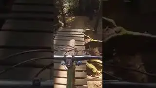 Hardtail VS Double Black Trail