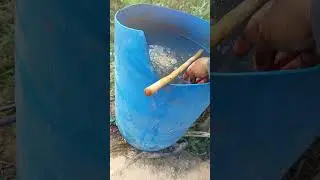 Fertirigacão no pimentão para pegamento e enchimento de frutos melhor forma para se aduba a lavoura 