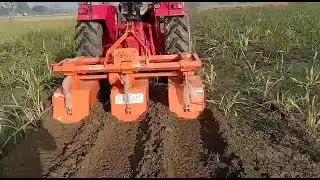 Sky German interrow weeder 3 row