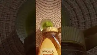 Refreshing Face Mask #shorts #short #trending #viral #ytshorts #diy #viralshorts #facemask #summer