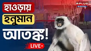 Howrah News : হাওড়ায় হনুমান আতঙ্ক ! । Breaking News । #breakingnewslive । RPLUS News