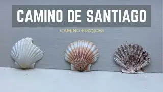 15. Hontanas - Frómista | Camino De Santiago 2021