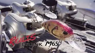 The Epitome of all Terrain Mobility, Balance and Recovery - Realis Crank M65