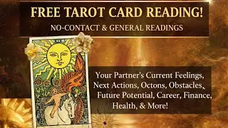 💥FREE TAROT CARD READING LIVE NOW #NoContact #LoveFeelings #NextStep #Relationship_Future #yt #tarot
