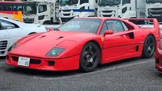 Day out in Daikoku PA: Ferrari F40, 488 Pista, Cobra & more