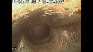 SMI/SEQ guest bath drain