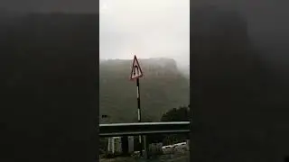 Hills❤ Forest❤ Fog❤ Drizzle❤ Drive❤ Songs❤ #travel #weather #travelvlogs