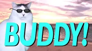 HAPPY BIRTHDAY BUDDY! - EPIC CAT Happy Birthday Song