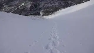 【横手口沢】伯耆大山（鳥取県）バックカントリースキー