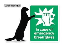 Lost Ferret? What To Do FIRST &ndash; Emergency Search Guide