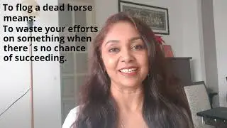Flog a dead horse