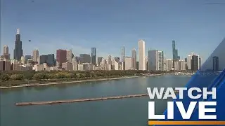 WATCH LIVE: Chicago Polar Plunge 2024