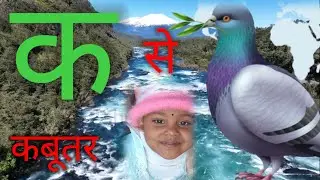 Ka Se Kabutar। Hindi Vernmala। Kids learning video। Kids Study। Kids Learn Ka Se Kabutar। Hindi।