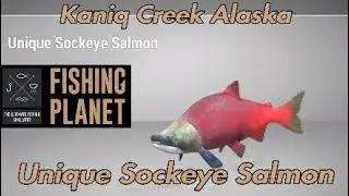 Уникальный лосось нерка &ndash; Каник-Крик, Аляска &ndash; путеводитель по Fishing Planet
