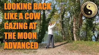 QiGong - Advanced Exercises - Looking Back Like a Cow Gazing at the Moon - Advanced