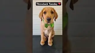 Throwback Tuesday&hellip;Diva!