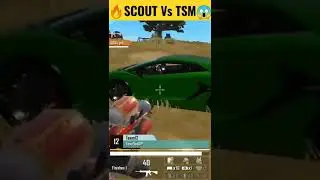 Scout Vs TSM 🔥