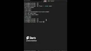 find command with case insensitive  in Linux  find  i command