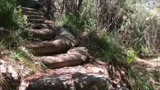 Piles Creek Loop Walk - Brisbane Water National Park