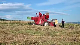The Harvest with old Mc Cormick D8-62