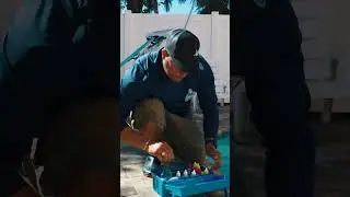 Cape Coral Florida Pool Cleaners - Pool Network