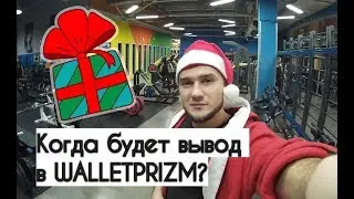 Будущее криптопроекта WALLETprizm. Почему задержки с выплатой парамайнинга? СКАМ или нет? Есть ответ