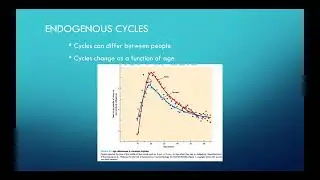 Chapter 4 - Endogenous Cycles