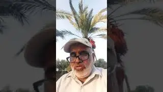 المحاضرة الثانية (المكتبات الخلافية والخاصة)