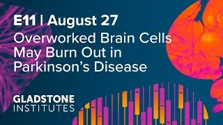 Gladstone Audio News │ Overworked Brain Cells May Burn Out in Parkinson&rsquo;s Disease