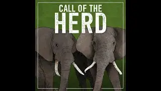Ep 4 - Hanging out with Andrew