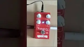 Analog Echo Delay / Wampler