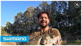 Shimano Yasei Trigger Twitch | Review @SaverioDeAngelis87