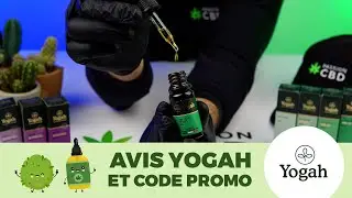 Yogah : Avis et Code Promo | Passion CBD
