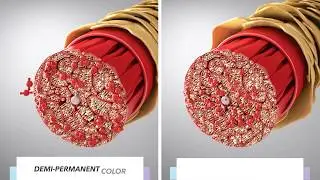 SPARKS Color Transformer - Hair Technical
