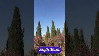 When Green Meets Autumn 🍂💙 | Sad Relaxing Music for Sleep & Deep Emotions