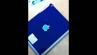 iPad 2 Vinyl Skin Colorlays by GrafiXpressions.com