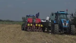Bezorkowy siew rzepaku 2018 *New Holland TD95D , MaterMacc*