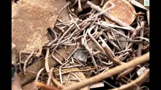 Latest scrap metal prices in US & Canada