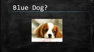 Blue Dog Art Project from Northwoods Elementary School