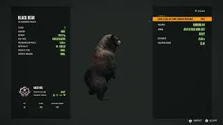 Great One Black Bear! (Fabled Glacier)