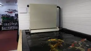 Elite Koi Bakki Shower