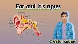 Human Ear | Parts of Ear | Structure and function of ear | Ear physiology and anatomy #biology