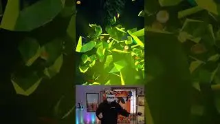 I got so many coins (Animal Company VR)