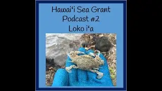 Hawai'i Sea Grant 321 Podcast #2 - Loko i'a