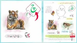 Urdu Harf Chay Activity | چوزہ، چڑیا، چیتا | Urdu Vocabulary Learning | Zara Publications
